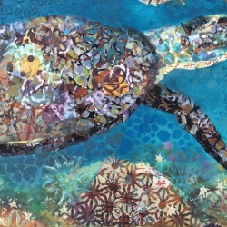 sea turtle detail